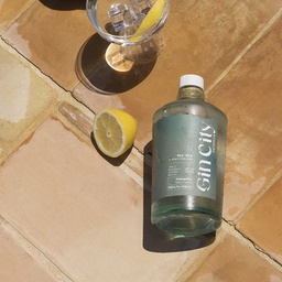 [5GCVN] Botella Ginebra Premium GINCITY VALENCIA 70 cl "New Edition"